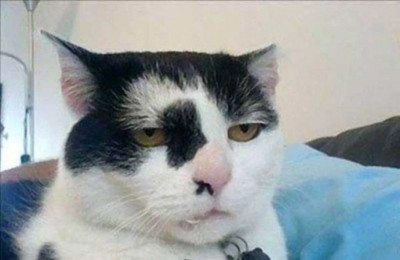 draven926:  theboywasonfiretoo:  michaeeeeeeeeeeeeeel:  tom-sits-like-a-whore:  to get a lot of followers you need a popular post to get a popular post you need a lot of followers   to get a job you need experience to get experience you need a job   to