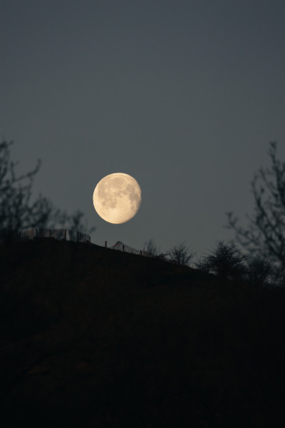 canipel:Moonset. | Make sure you follow &gt; Shot By Canipel &amp; Instagram