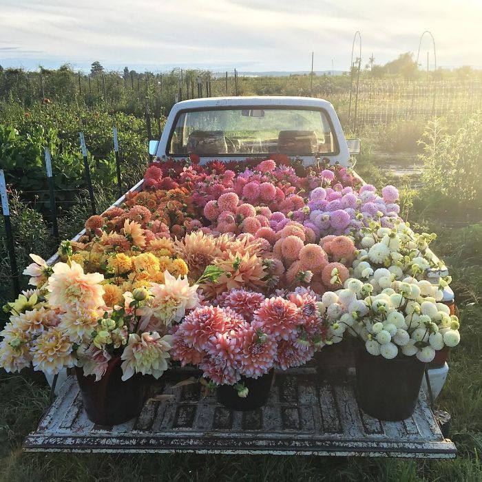 i-want-spankings: culturenlifestyle:  A Peek Inside the Life of a Florist Florist