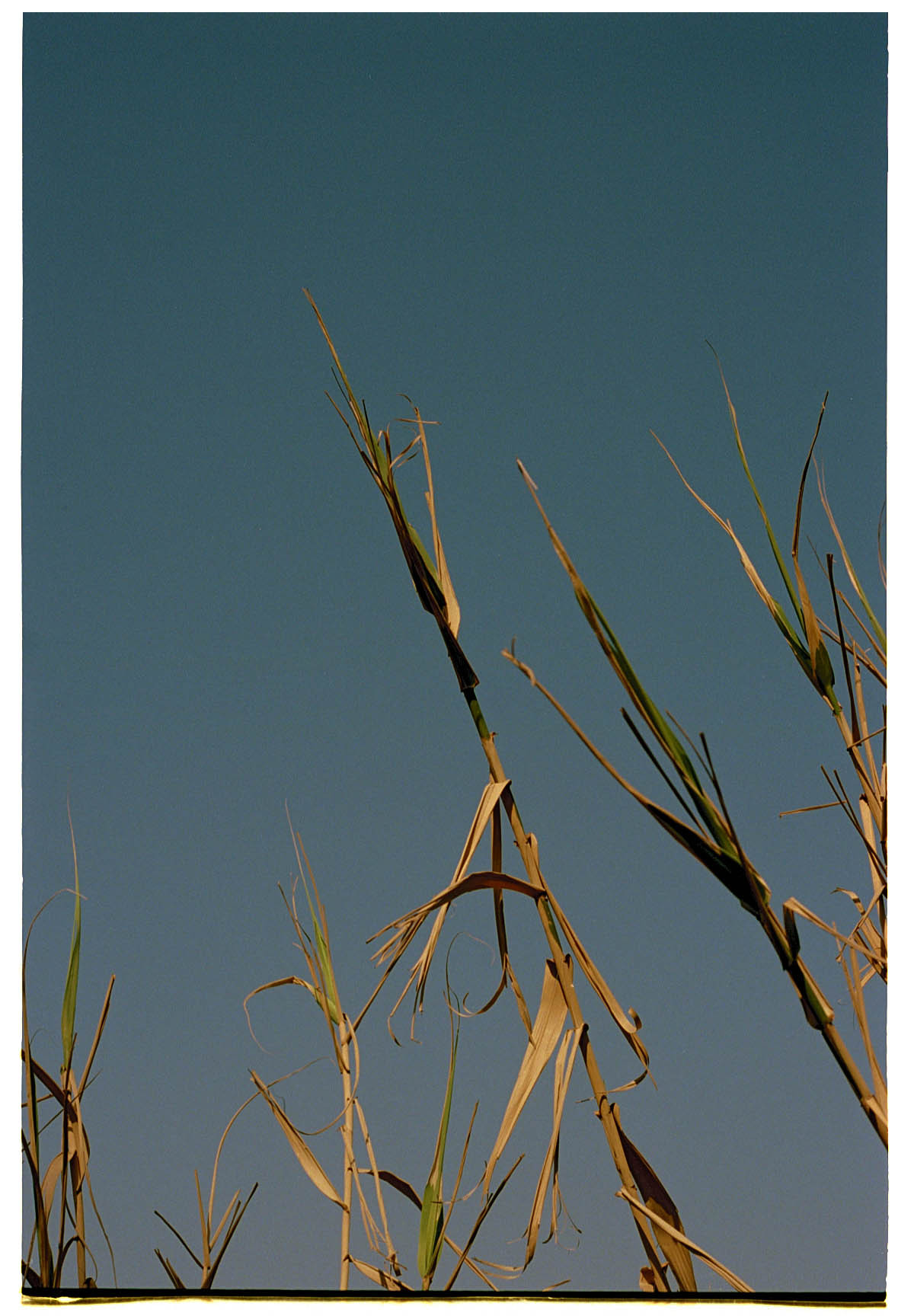 ellanmwebb2: Photographs from my residency in Itoshima-shi, Fukuoka : Ella Webb 