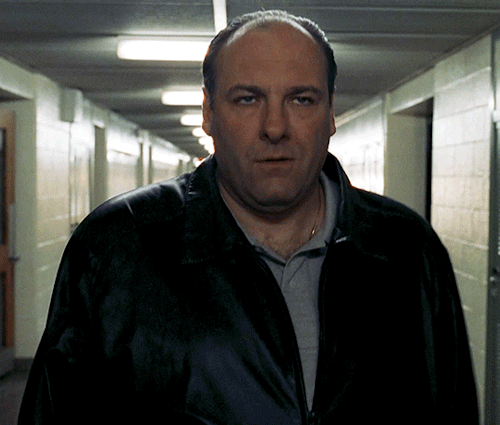 THE SOPRANOS Season 5 | Episode 11 "The Test Dream"