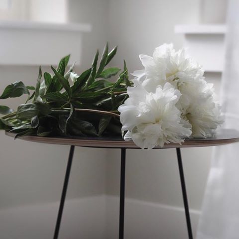 https://www.instagram.com/willowstyleco/