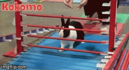 Hahahaha.  "Jump?  Fuck you bitch.“