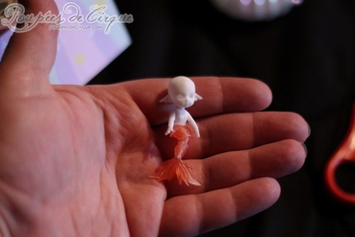 The tiniest mermaid has arrived! I expected a tiny doll and got one that is even tinier than expecte