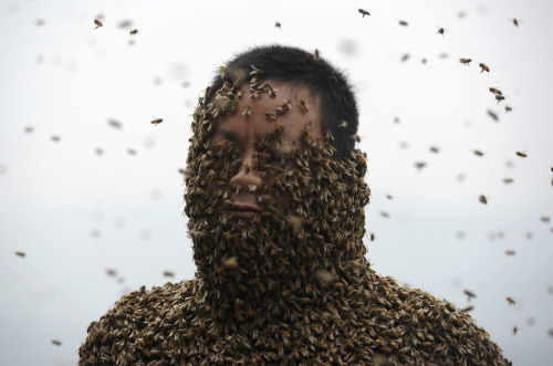 reuters:She Ping, a 34-year-old beekeeper, is seen during an attempt to cover his body with bees in 