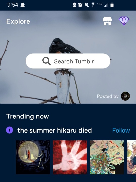 Tumblr media