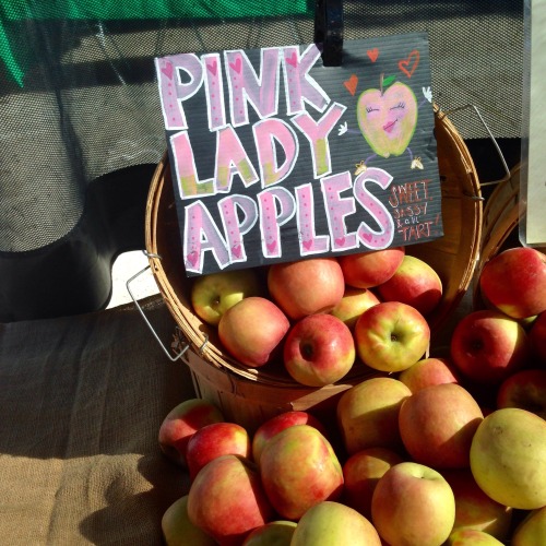 fortunegookie:we went to the farmers market this morning