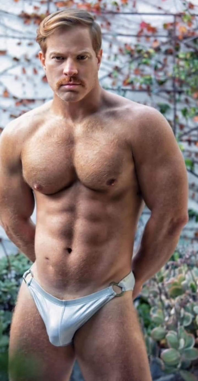 realbulgeblog:    Follow in Instagram: https://www.instagram.com/realbulgeblog/      