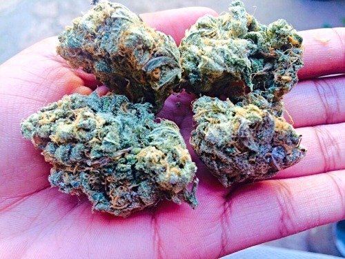 gay-for-maryjane:Un Sueño Azul