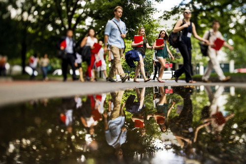 A selection of my top photos from the month of July shot for Northeastern University.