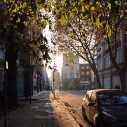 thewillowandfox:  London fog // crisp and slightly chilly air // sun beams are made more tangible and thicken in the sense clouds of fog that sweep through the city // shafts of light pooled out onto the pealing streets // everything is made warmer by