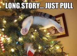 Memecollection:  For More Funny Posts Click Here!