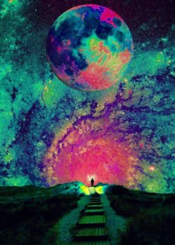 obeytheprophecy:  ▲ obey the prophecy ▲ the door to wonderland
