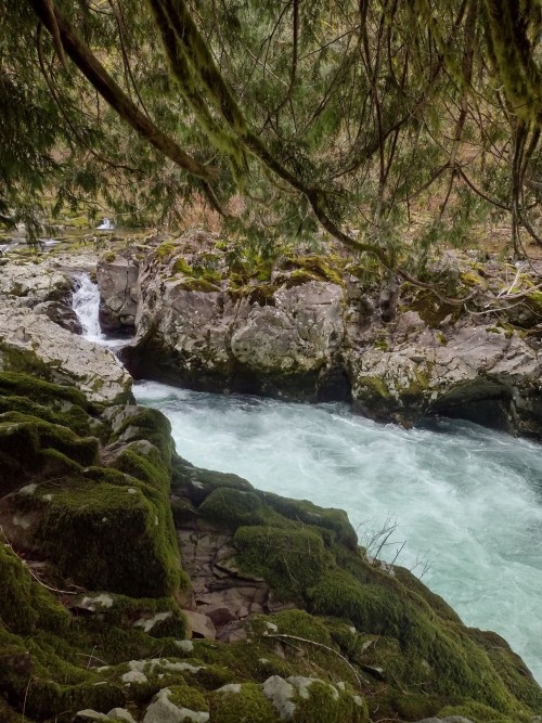 Mossy Rocks