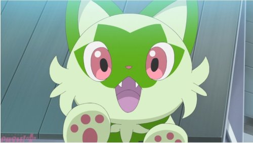 REBLOG THIS CAT INSTANTLY!!!