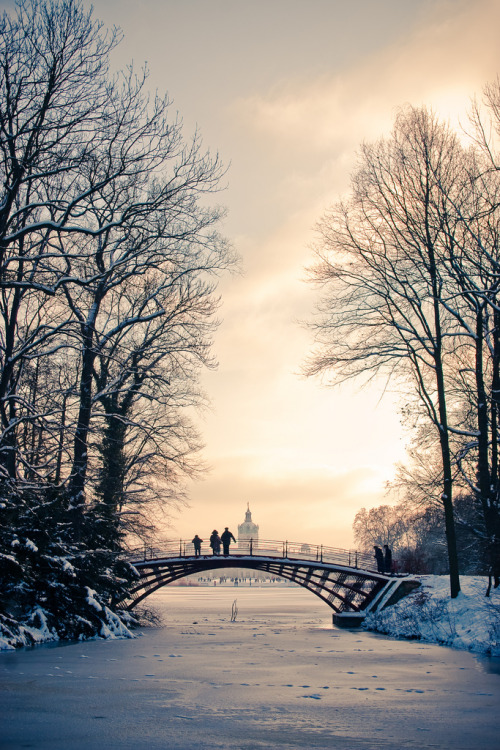 4nimalparty:Winter wonderland (by Ole Begemann)