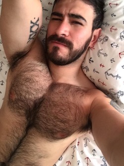 Follow my two hairy men blogs:http://sambrcln.tumblr.comhttp://hairysex.tumblr.com