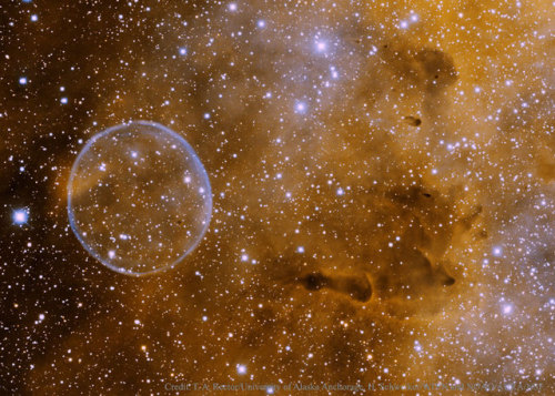 The Soap Bubble Nebula : Adrift in the rich star fields of the constellation Cygnus, this lovely, sy