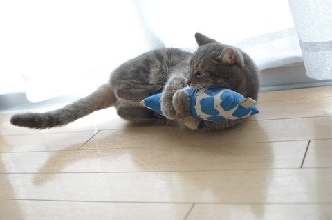 carudamon119:  うだま‏@udama1212けりぐるみで、うちの猫に遊んでもらったhttp://udama.jp/toy-2/   