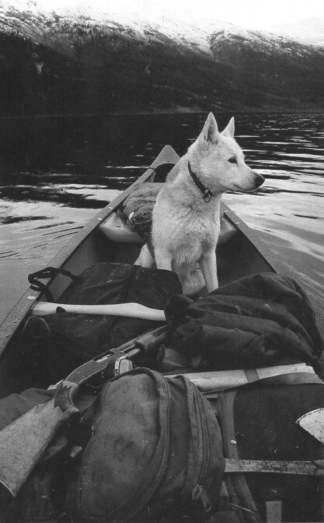 everydaygun:  How can I not reblog? This photo has all the makings of something awesome, shotgun, dog, canoe, lake, mountains, rucksack, whatever their up to sign me up.  