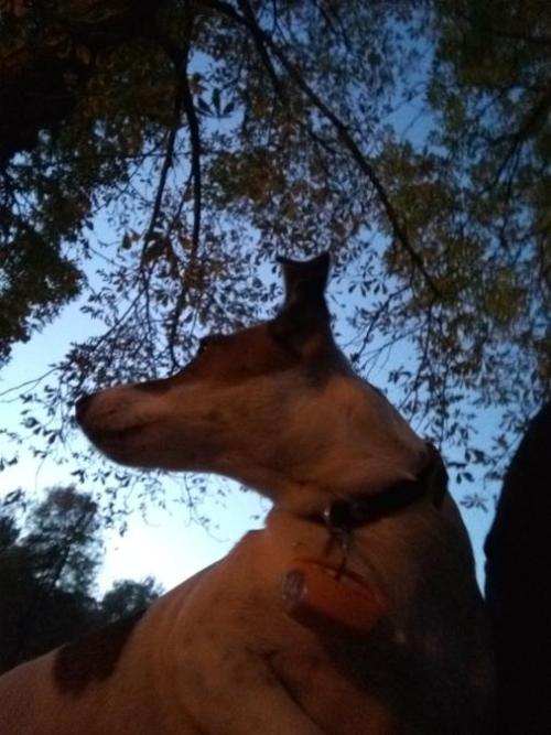 Meet My Very Photogenic Princess