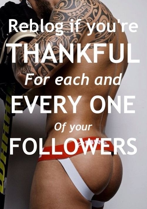tobyland: Thank you to all my followers…. I wish I could personal thank each of you for follo