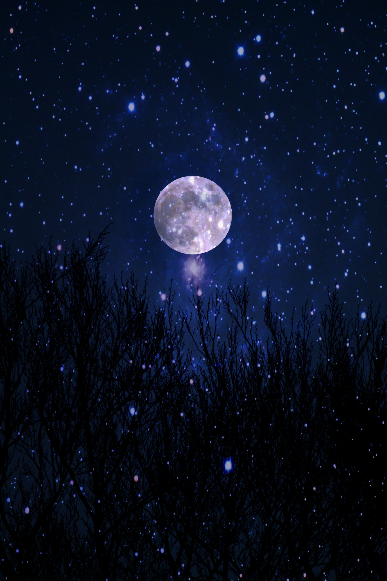 Cosmic Sparrow
