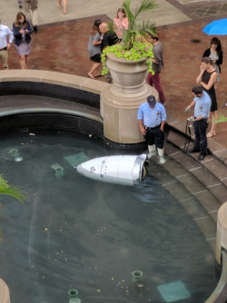 Candybaggins: Aku-No-Homu:  Our D.c. Office Building Got A Security Robot. It Drowned