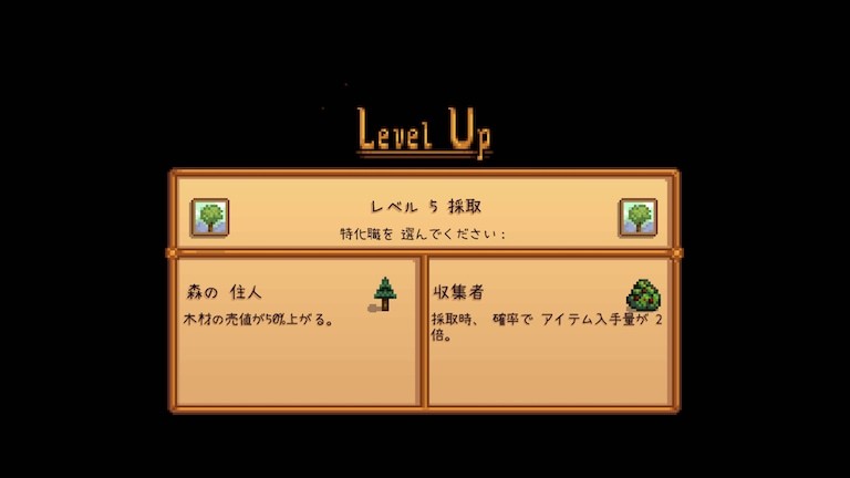 stardew valley スターデューバレー