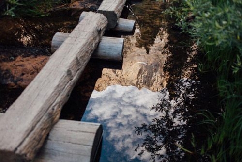 jeffambrose:Whitney Trail, CA