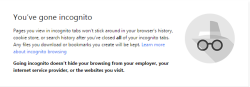 terriamon:  discipleofdante:  terriamon:  LOGGED THE FUCK IN  Of course your ISP, Google, and the source page will still have access to everything you do incognito, so I mean it really is no more effective than Firefox’s forget button. To be 100% safe