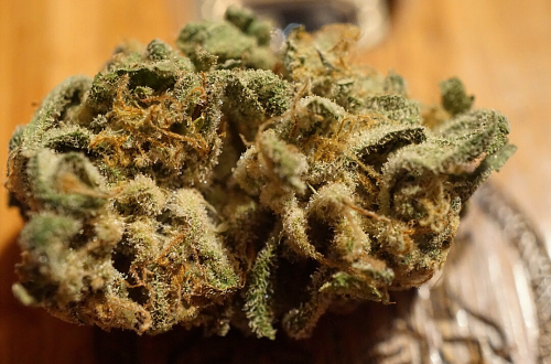 upliftedsmoke:✨✨Request to follow: emmarosettastone on Insta for pics of weed nature etc✨✨