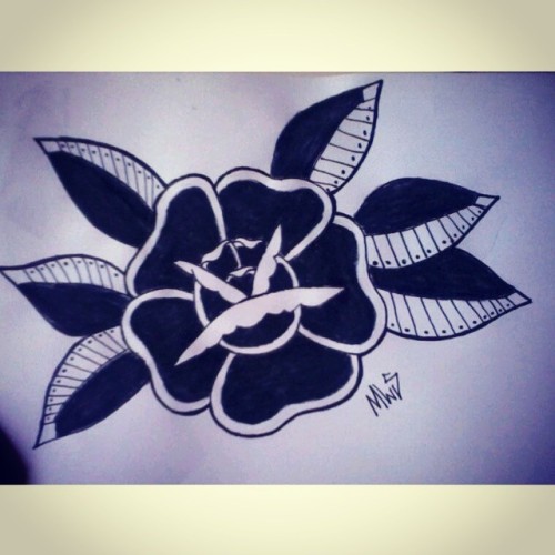 Black garden #bomdia #blackrose #blackwork #traditional #illustration #pencildrawing #drawingoftheday