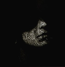 https://64.media.tumblr.com/7da008bfb0fc9d8d5bc7ea1ebd1e4ffa/tumblr_mptnrclUo21rcksw9o1_500.jpg