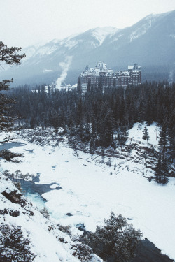 teapalm:  (Tasha Marie) | Banff Springs Hotel