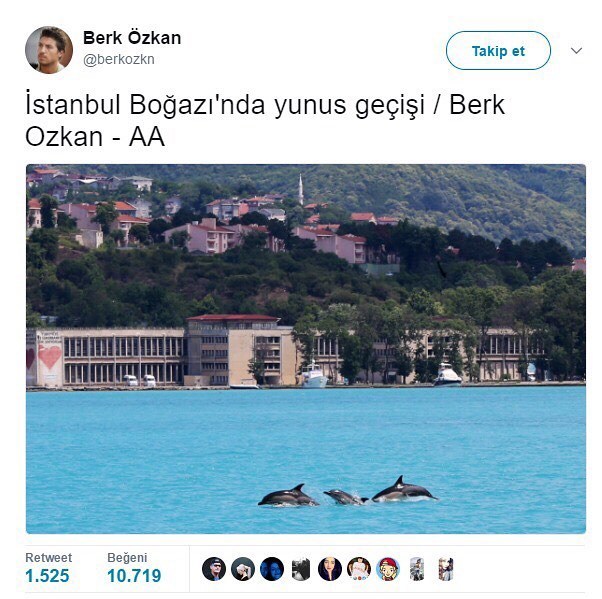 Berk Özkan
@berkozkn
Takip...