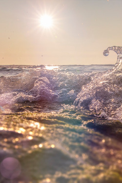 plasmatics:  Ocean Waves by Matthew Fox 