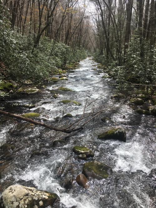 amazinglybeautifulphotography: Great Smokey Mountains, NC USA [4032x3024] [OC] - Author: SchizoidRai