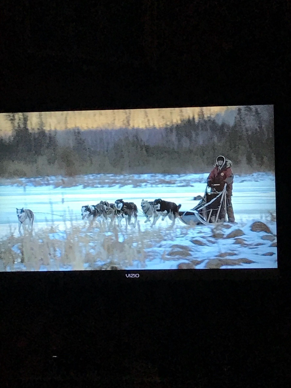 Life Below Zero on for background noise while I do homework and Freya heard the sled