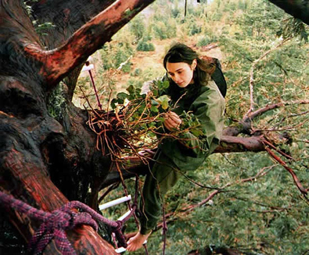 ojala-que:  lonelynomads:  eulen:  Julia Butterfly Hill lived in a 180-foot (55 m)-tall,