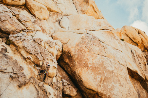 joshua tree, california