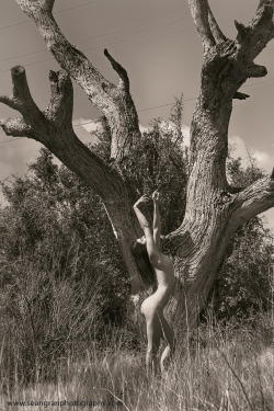 imagesbysg:  Outback nudes 2