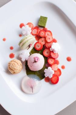 Nenrinya:  Sakura Yokoso @ Mof Japanese Dessert Cafe 