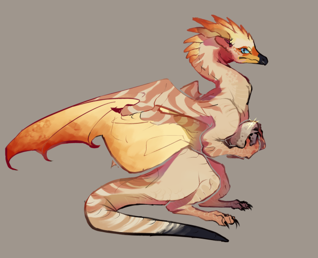 otiksimr:Kookoo