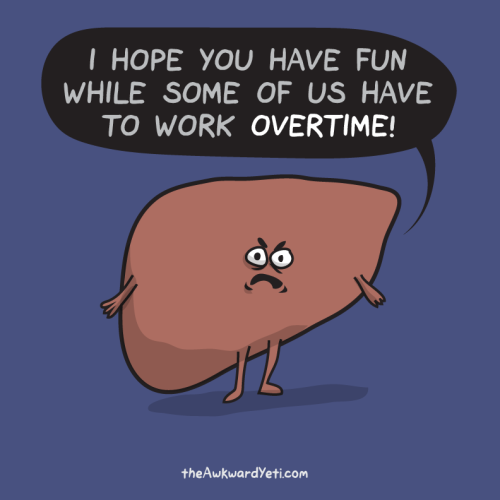 liver