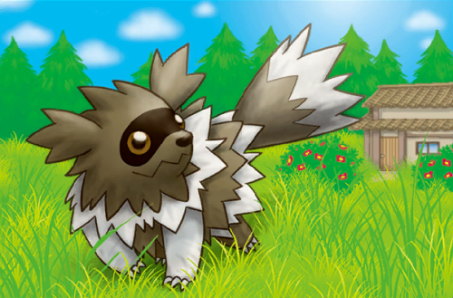 illus. Sumiyoshi Kizuki “Zigzagoon” from Primal Clash