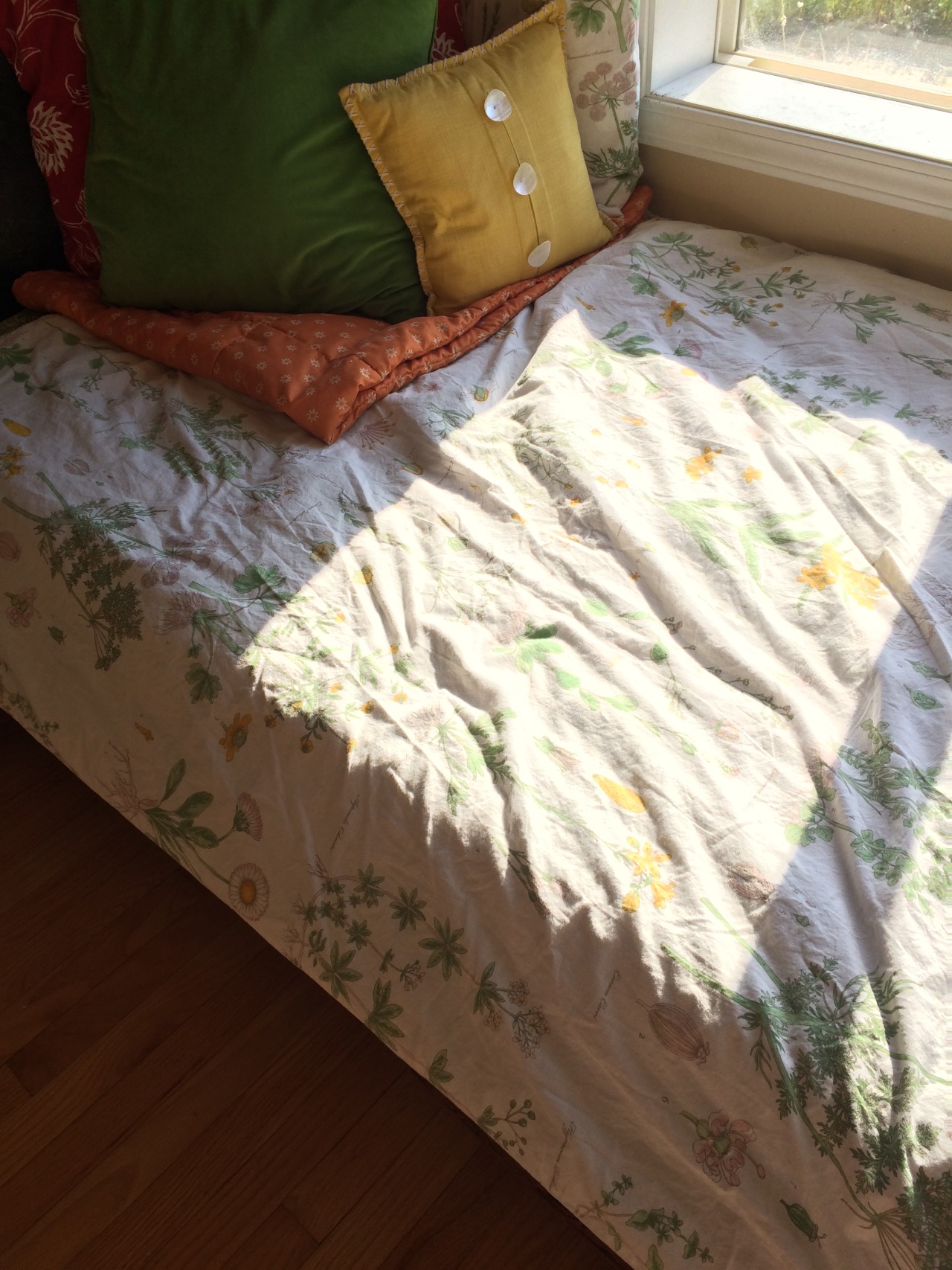 egg-noggin:  5.25.15: morning light