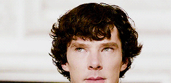 sherlockbbcgifs:  onedirecton requested: Sherlock hair porn? Like when it’s super curly and lovely   laurasykes97