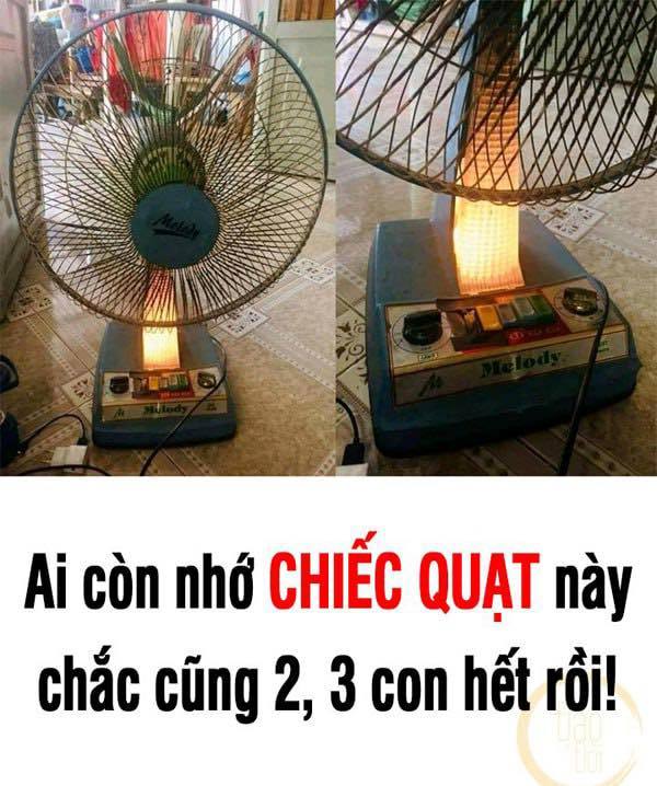 Chiếc quạt 8x