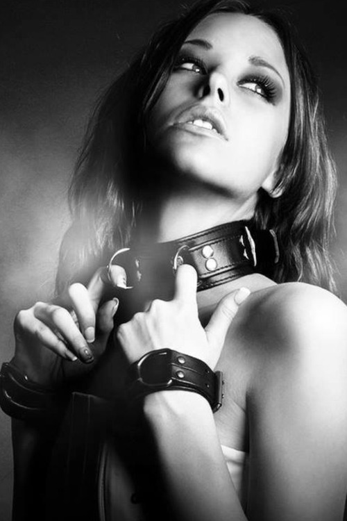 alphadaddydom:  To collar the one woman I will collar.  Mmmmm.  ~Daddy